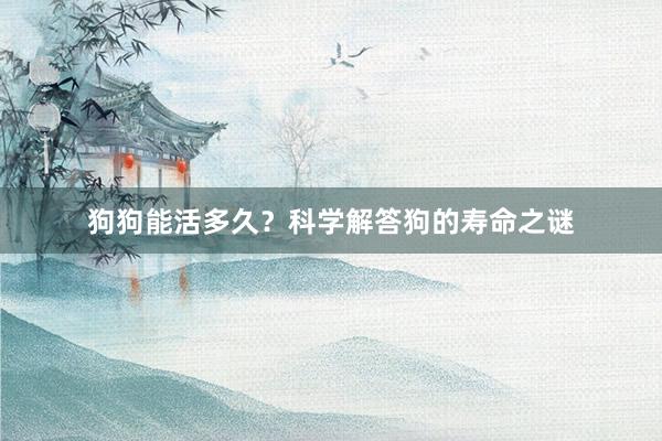 狗狗能活多久？科学解答狗的寿命之谜